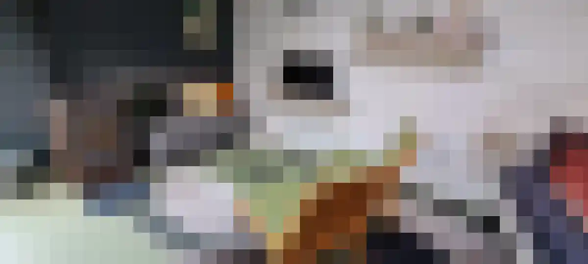 Peizerweg 53 Groningen thumbnail 5
