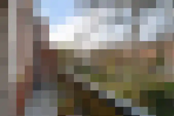 Peizerweg 61 a Groningen thumbnail 19