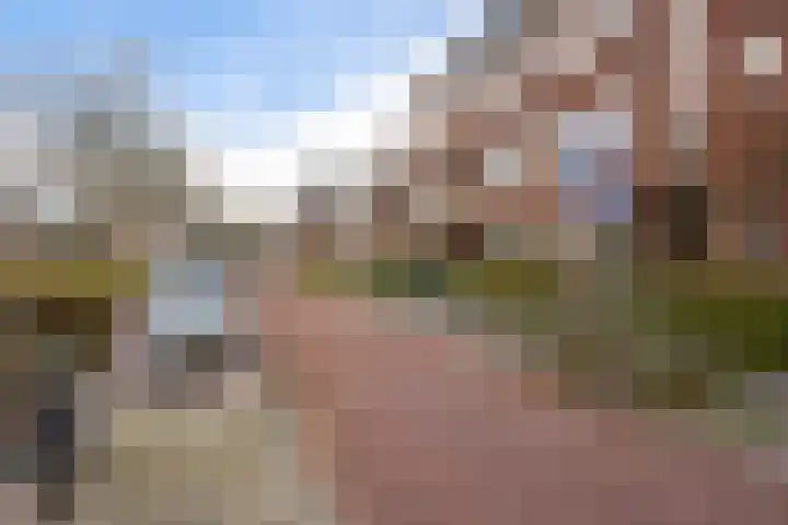 Peizerweg 61 a Groningen thumbnail 34
