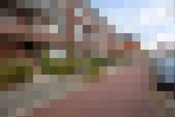 Peizerweg 61 a Groningen thumbnail 5