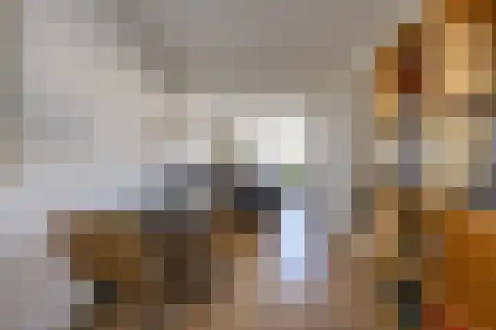 Peizerweg 68 12 Groningen thumbnail 18