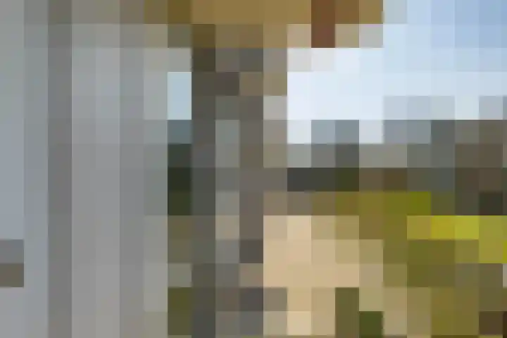 Peizerweg 68 12 Groningen thumbnail 29