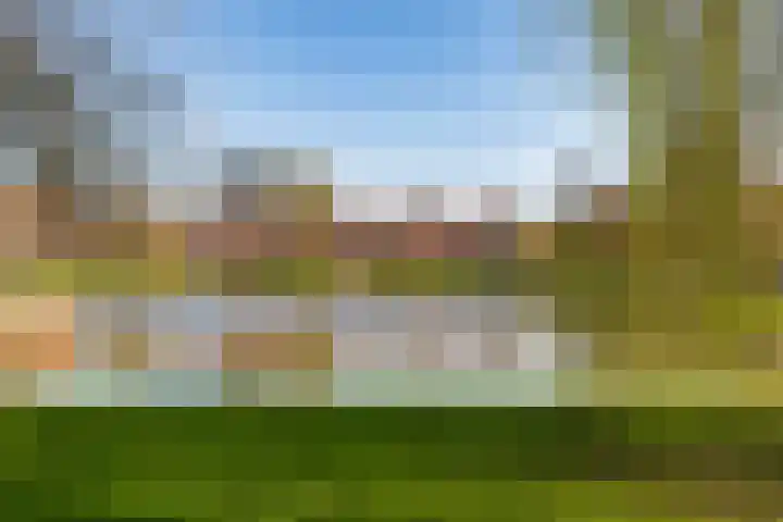 Peizerweg 68 12 Groningen thumbnail 6