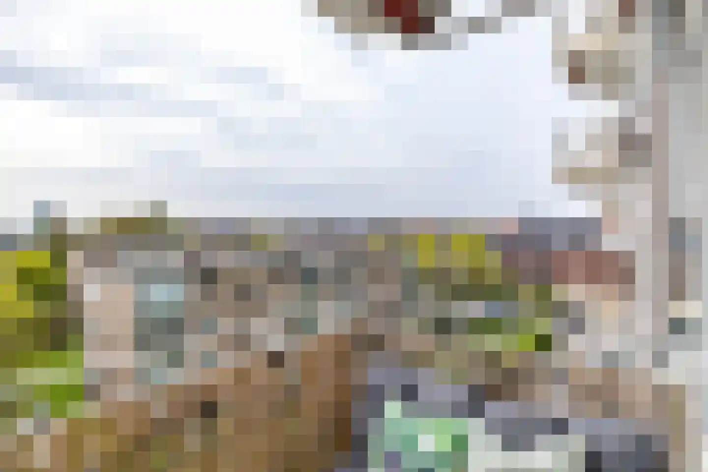 Peizerweg 68 27 Groningen thumbnail 24