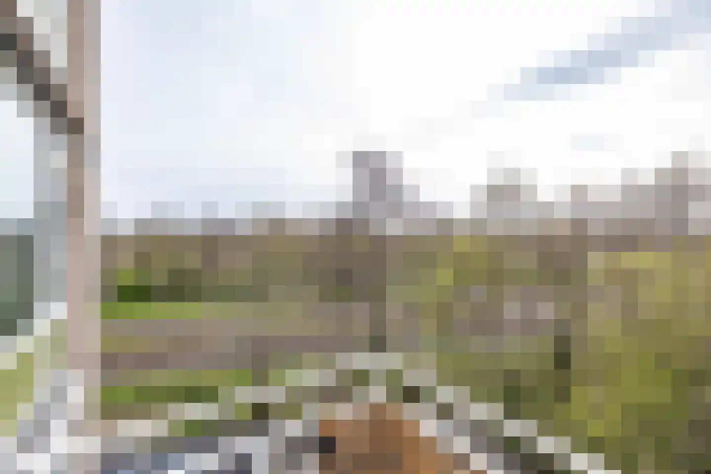Peizerweg 68 27 Groningen thumbnail 25