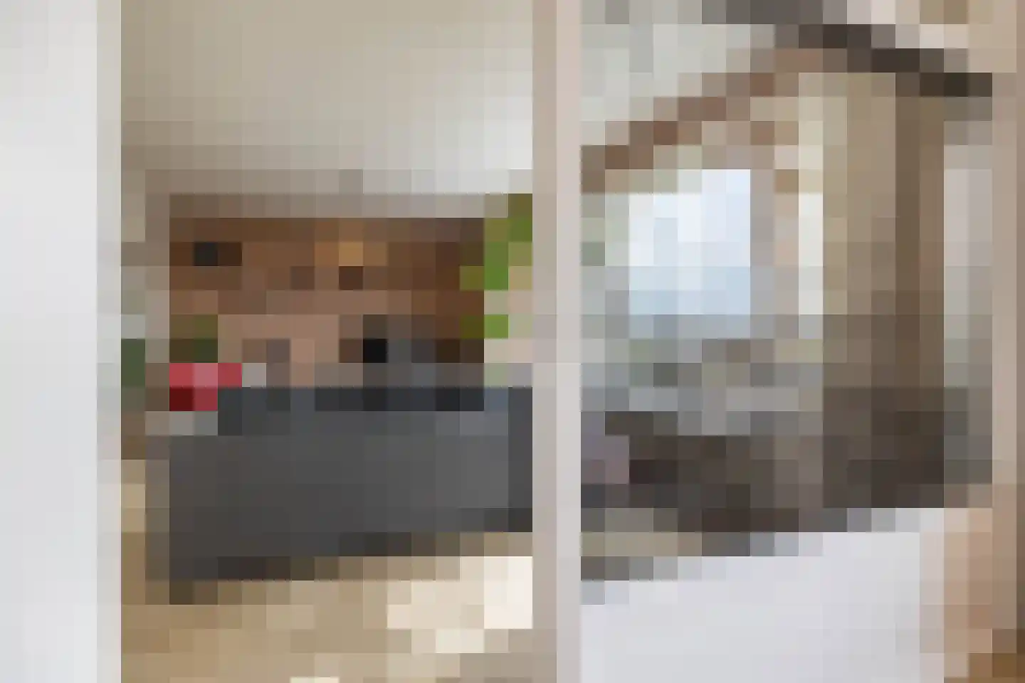 Peizerweg 68 27 Groningen thumbnail 27