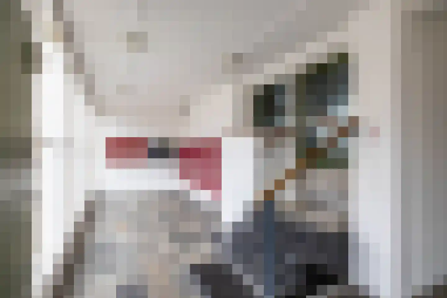 Peizerweg 68 27 Groningen thumbnail 6