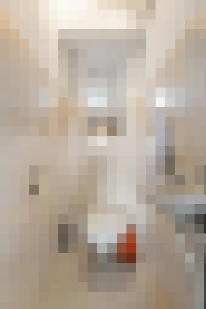 Peizerweg 68 34 Groningen thumbnail 12