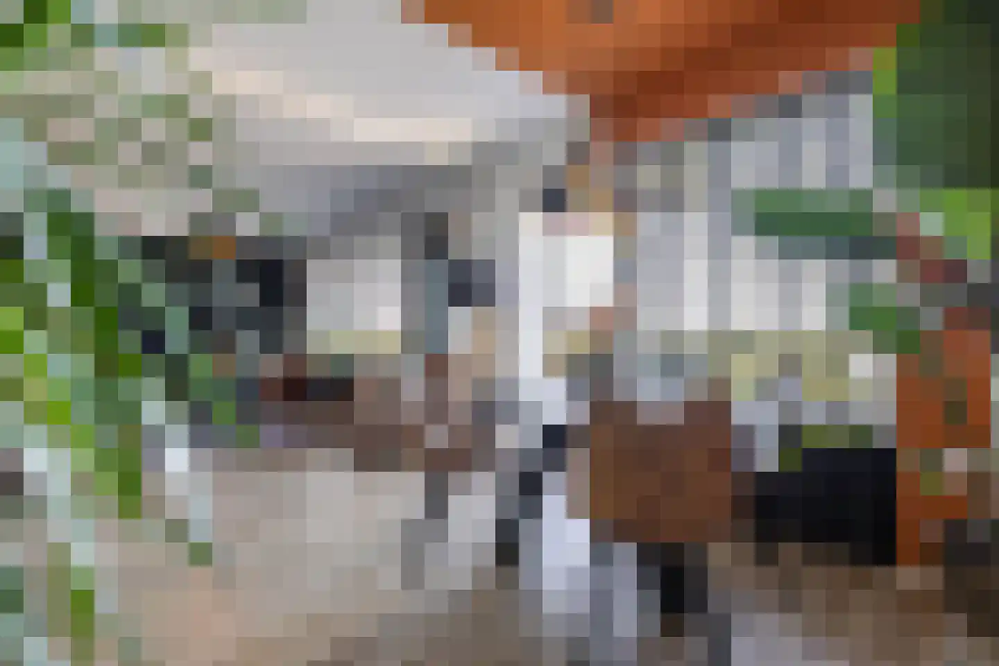 Peizerweg 68 48 Groningen thumbnail 15