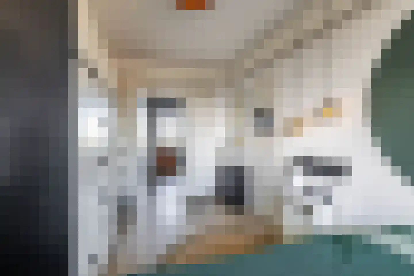 Peizerweg 68 48 Groningen thumbnail 29