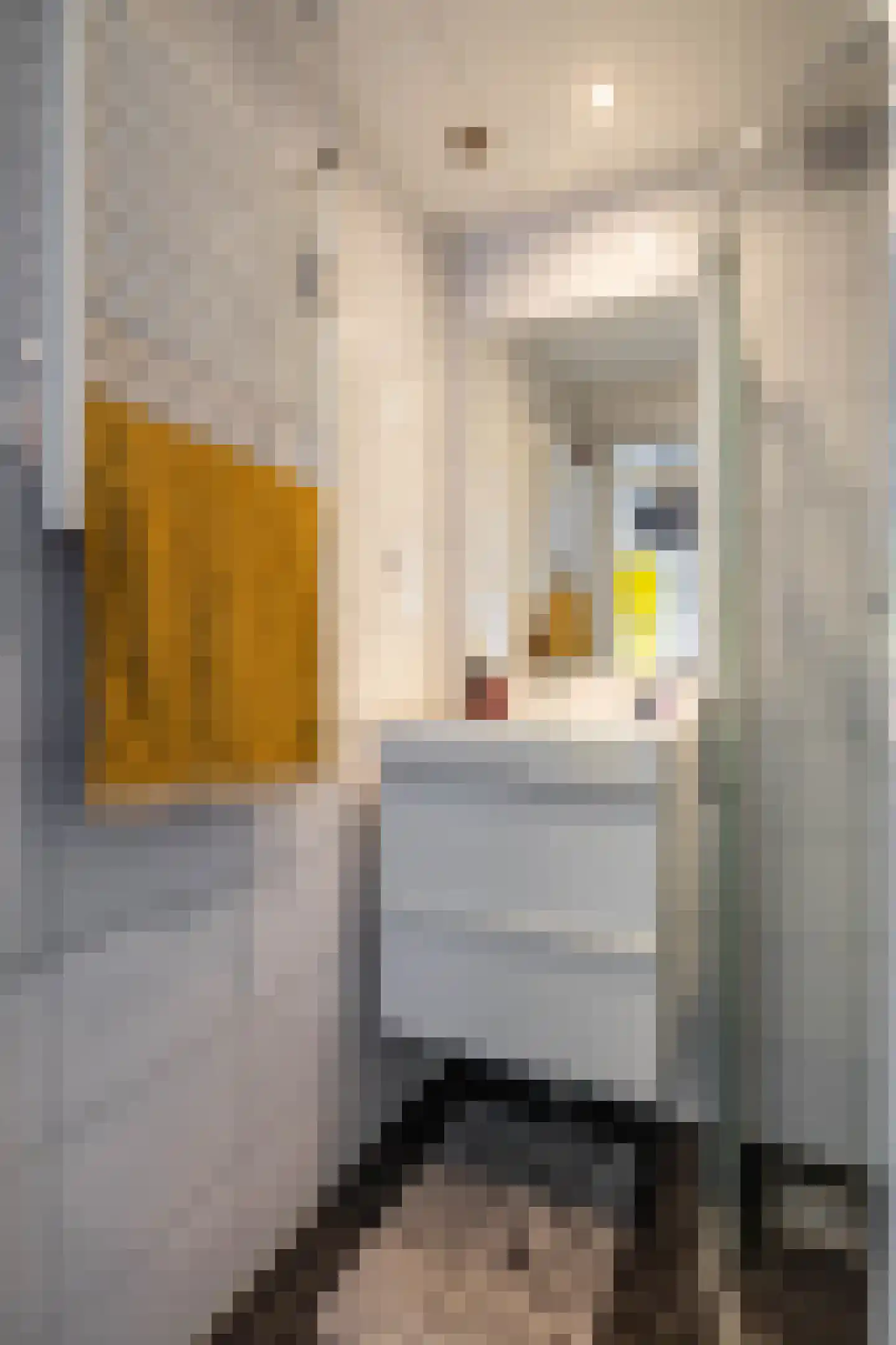 Peizerweg 68 48 Groningen thumbnail 34