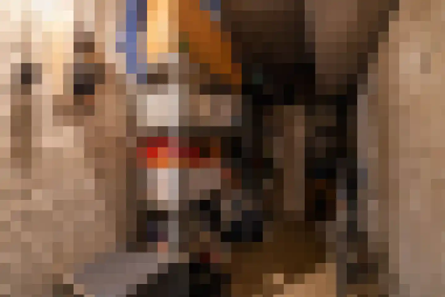 Peizerweg 68 48 Groningen thumbnail 35