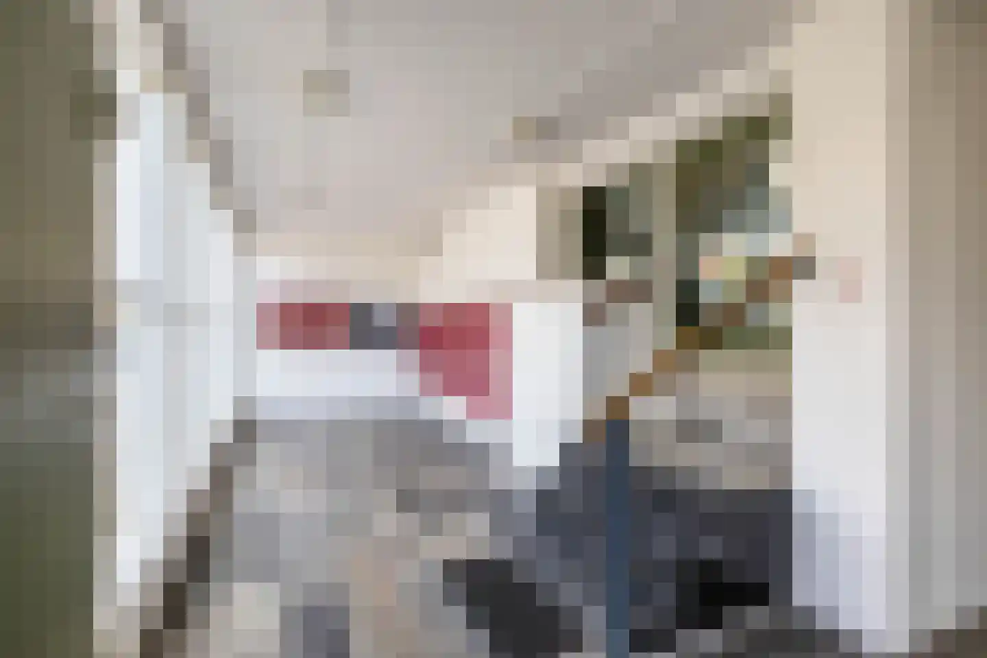 Peizerweg 68 53 Groningen thumbnail 10