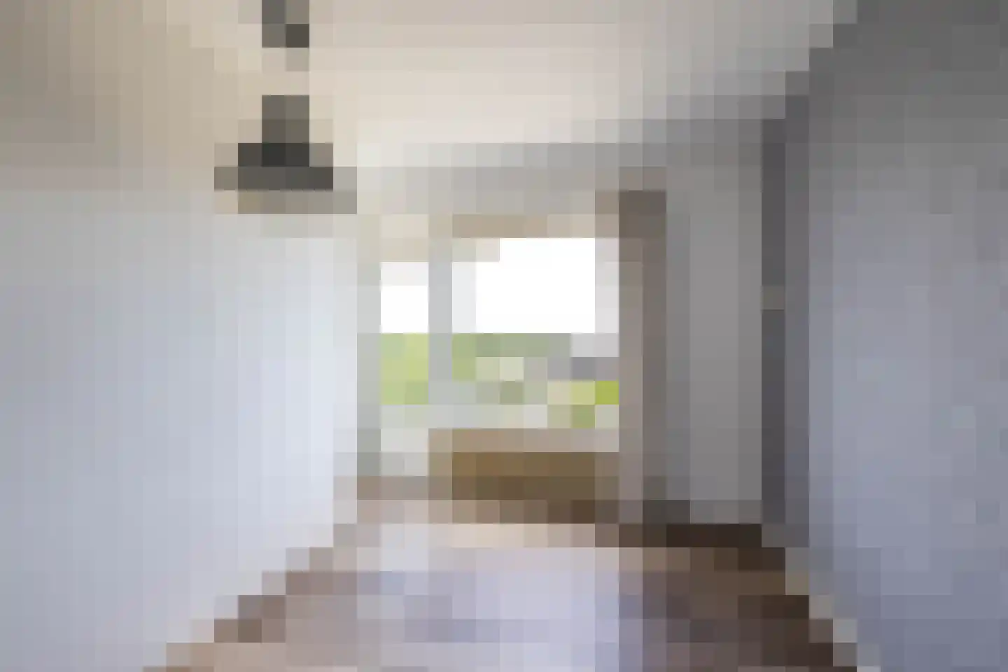 Peizerweg 68 53 Groningen thumbnail 27