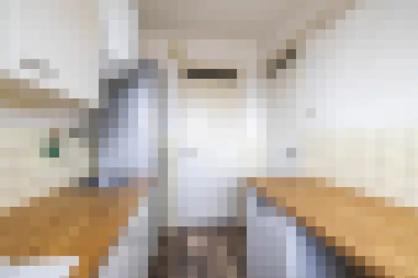 Peizerweg 68 53 Groningen thumbnail 37