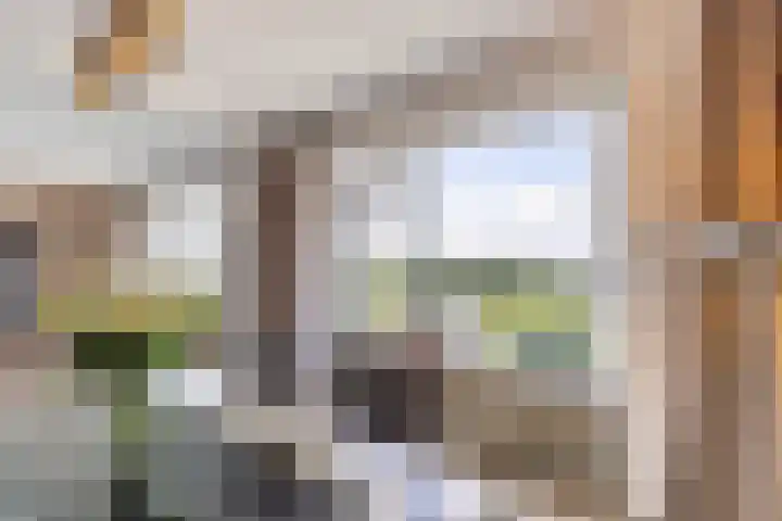 Peizerweg 68 57 Groningen thumbnail 19