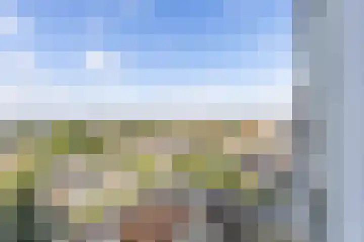 Peizerweg 68 57 Groningen thumbnail 20