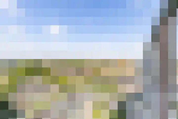 Peizerweg 68 57 Groningen thumbnail 21