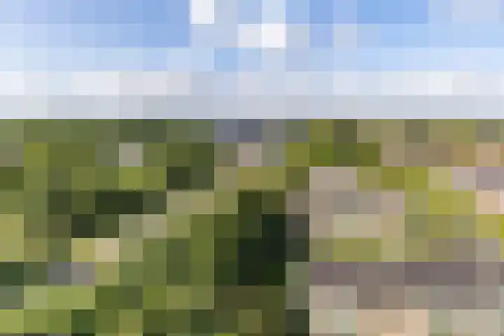 Peizerweg 68 57 Groningen thumbnail 22