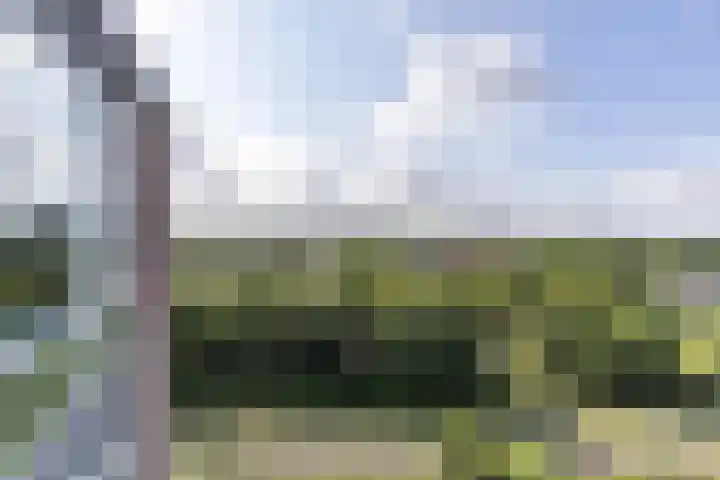 Peizerweg 68 57 Groningen thumbnail 23