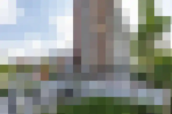 Peizerweg 68 57 Groningen thumbnail 33