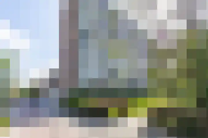 Peizerweg 68 57 Groningen thumbnail 36