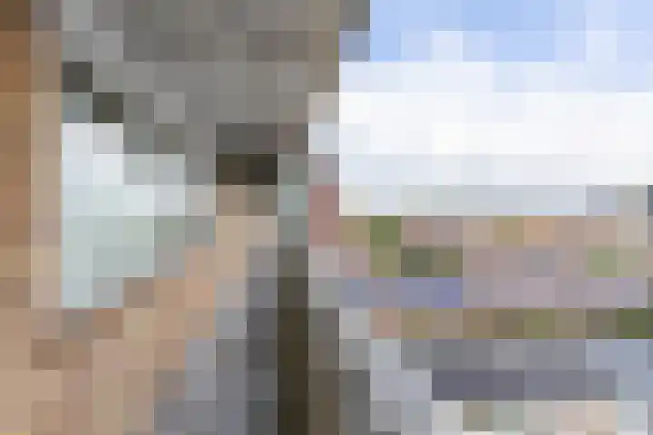 Peizerweg 68 57 Groningen thumbnail 4