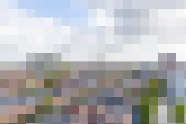 Peizerweg 68 57 Groningen thumbnail 5