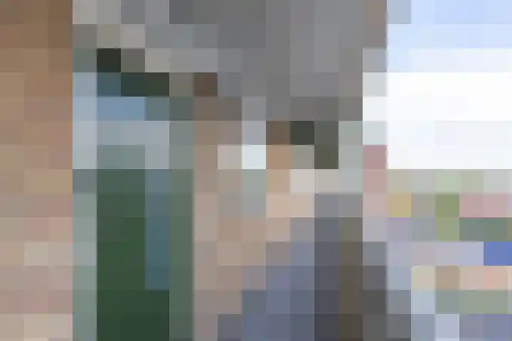 Peizerweg 68 57 Groningen thumbnail 6