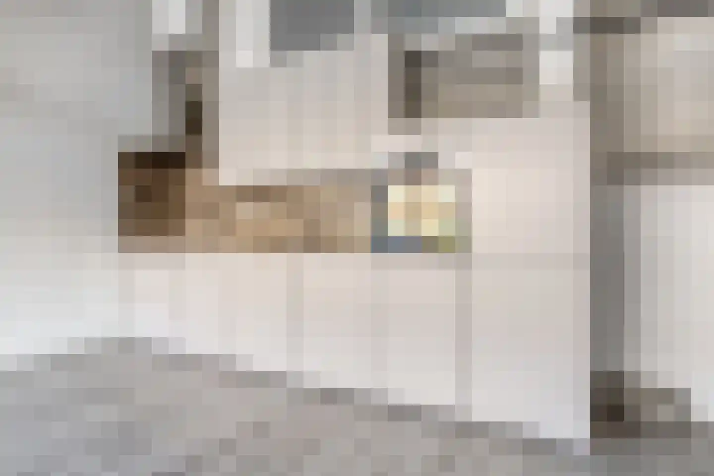 Peizerweg 68 6 Groningen thumbnail 6