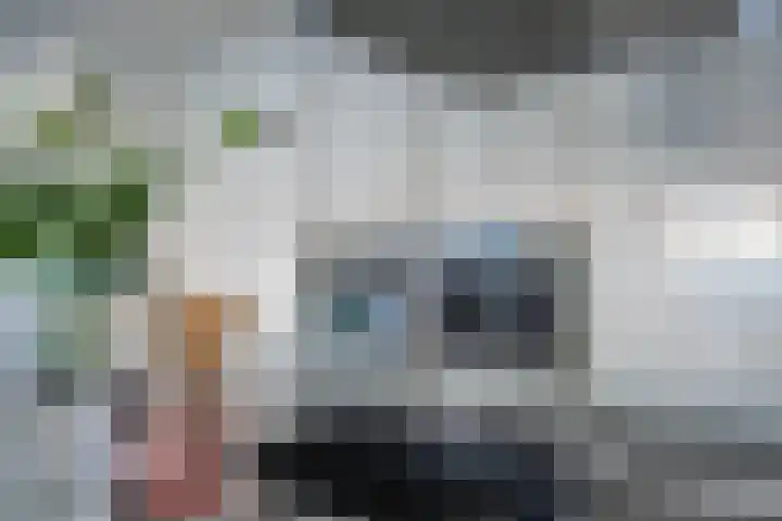 Peizerweg 68 Groningen thumbnail 16