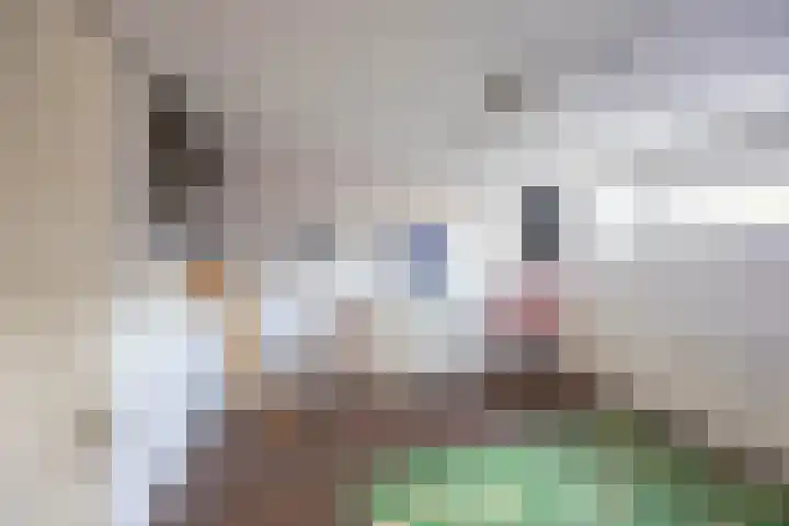 Peizerweg 68 Groningen thumbnail 17