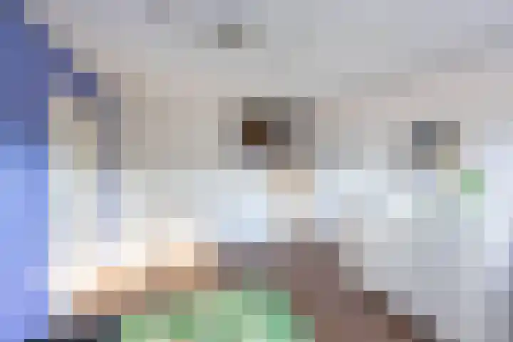 Peizerweg 68 Groningen thumbnail 20
