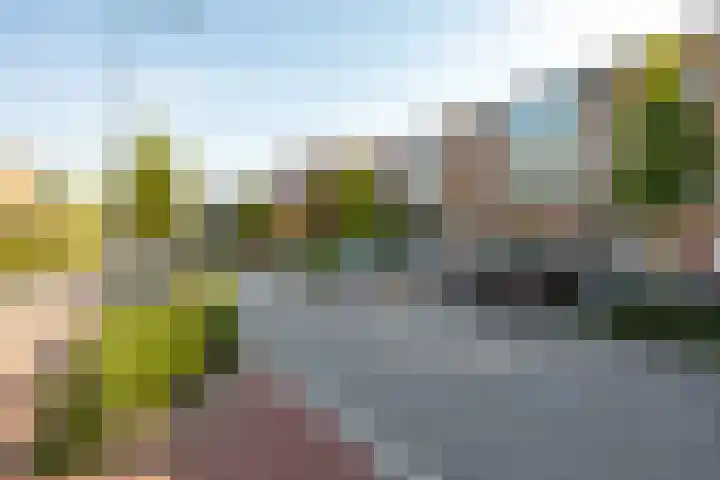 Peizerweg 68 Groningen thumbnail 34