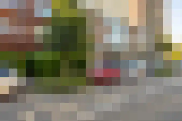 Peizerweg 68 Groningen thumbnail 4