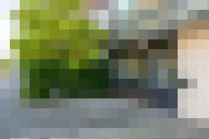 Peizerweg 68 Groningen thumbnail 6