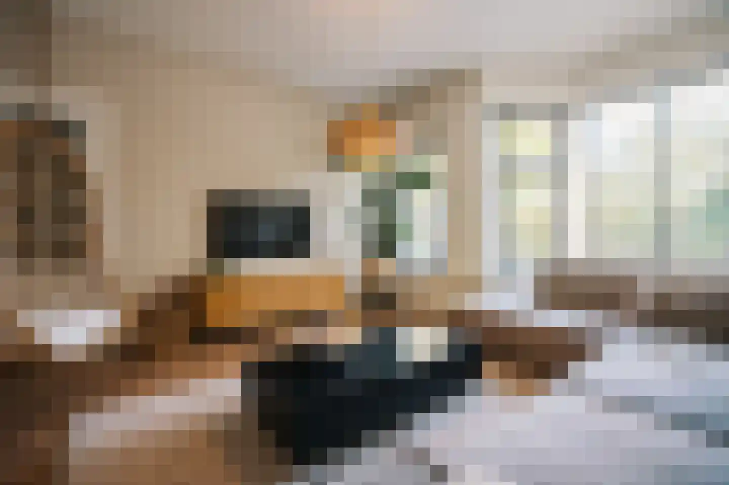 Peizerweg 69 Groningen thumbnail 15