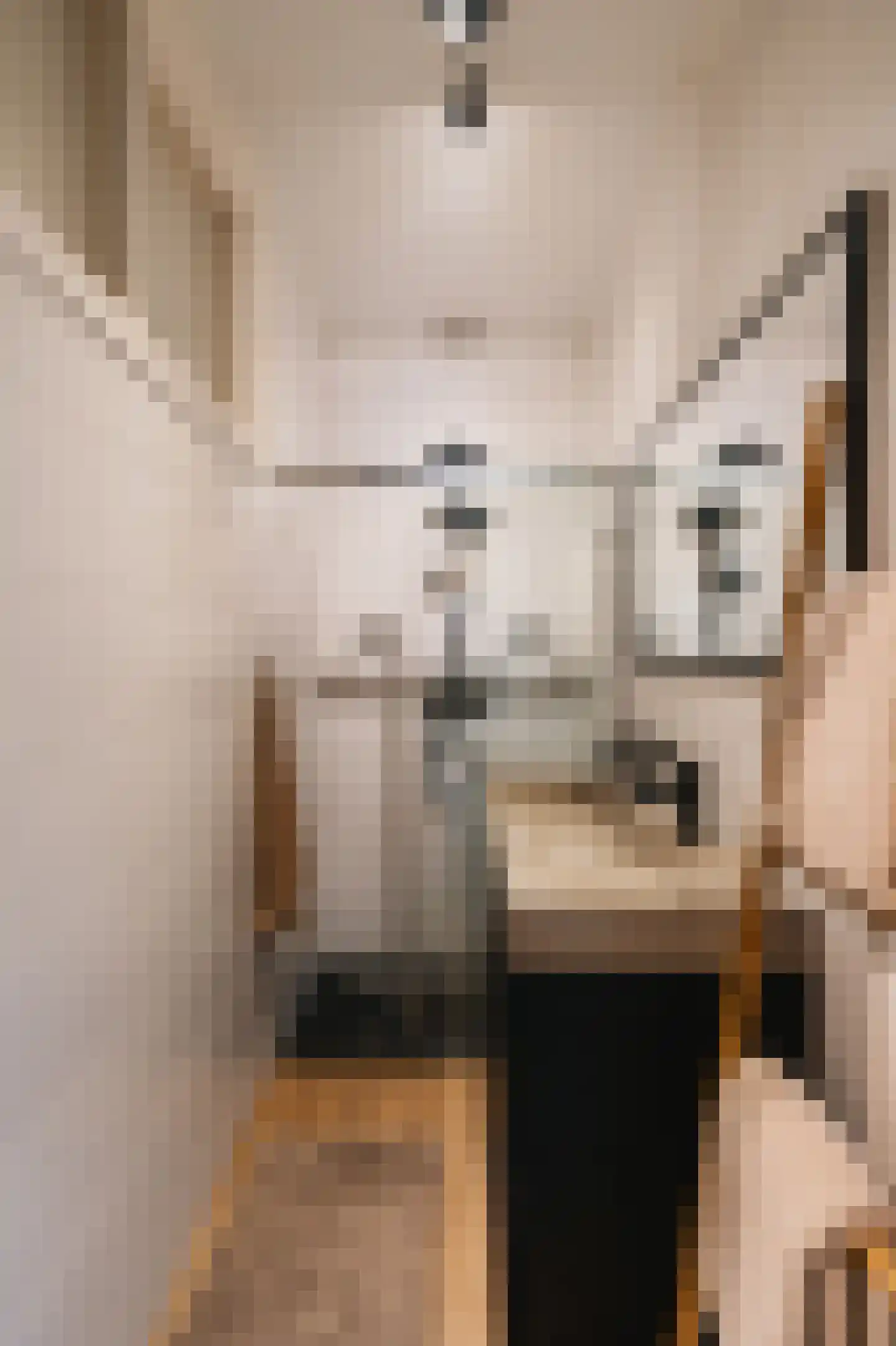 Peizerweg 69 Groningen thumbnail 24
