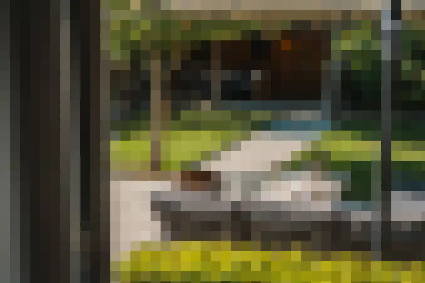 Peizerweg 69 Groningen thumbnail 29