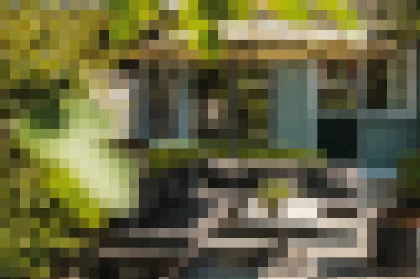 Peizerweg 69 Groningen thumbnail 30