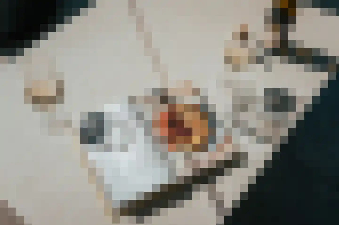 Peizerweg 69 Groningen thumbnail 32