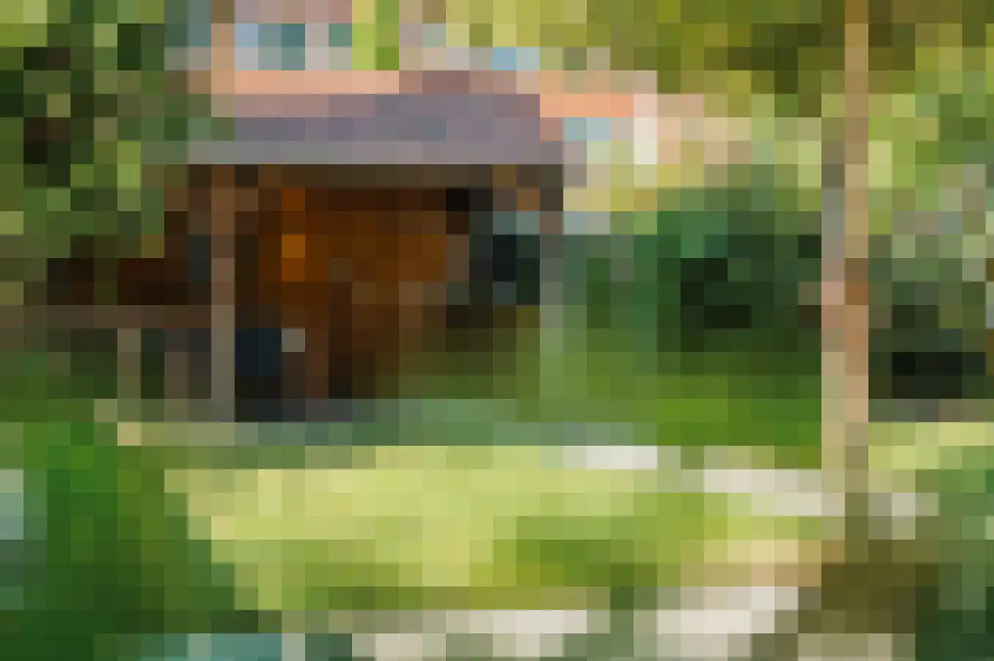 Peizerweg 69 Groningen thumbnail 33