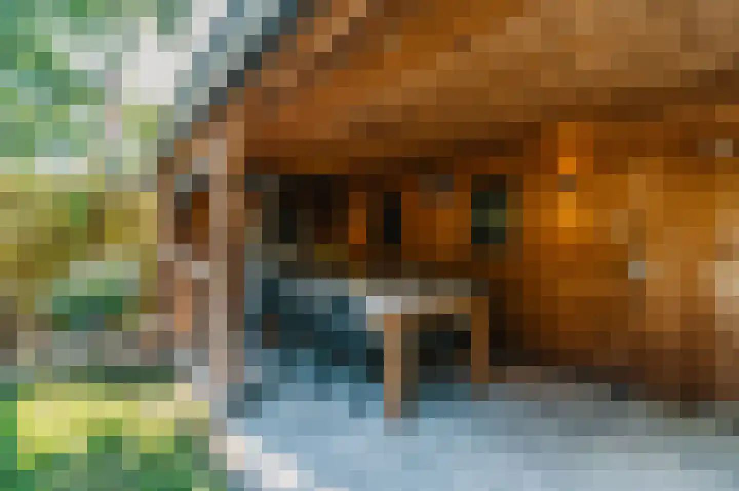 Peizerweg 69 Groningen thumbnail 34