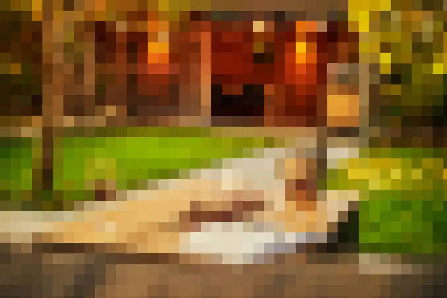 Peizerweg 69 Groningen thumbnail 35