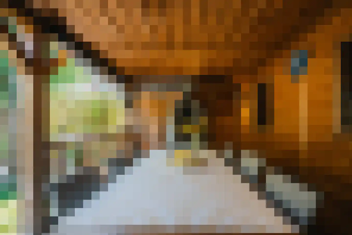 Peizerweg 69 Groningen thumbnail 36