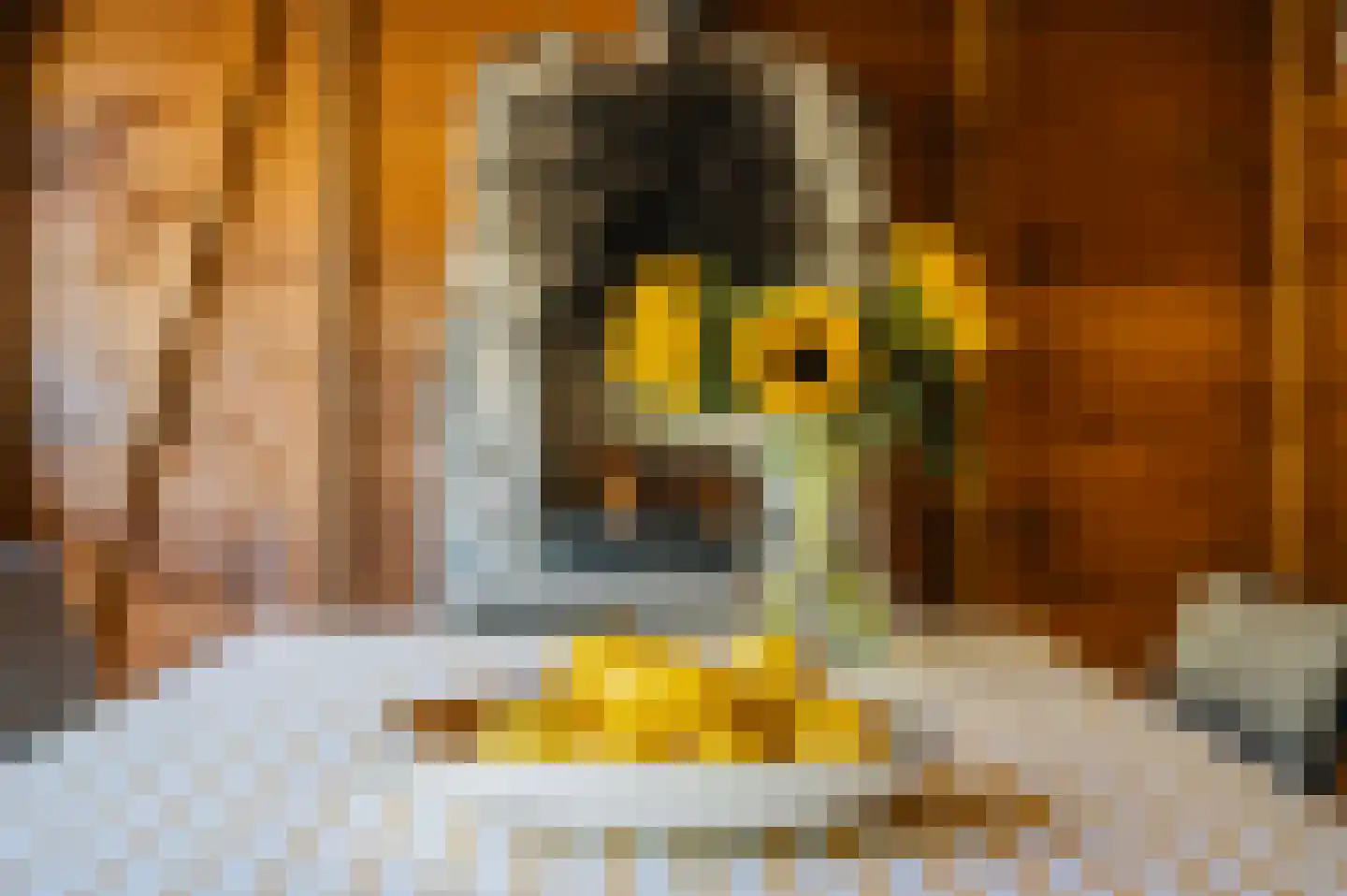 Peizerweg 69 Groningen thumbnail 37