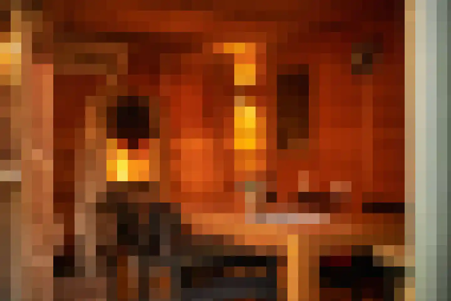 Peizerweg 69 Groningen thumbnail 38