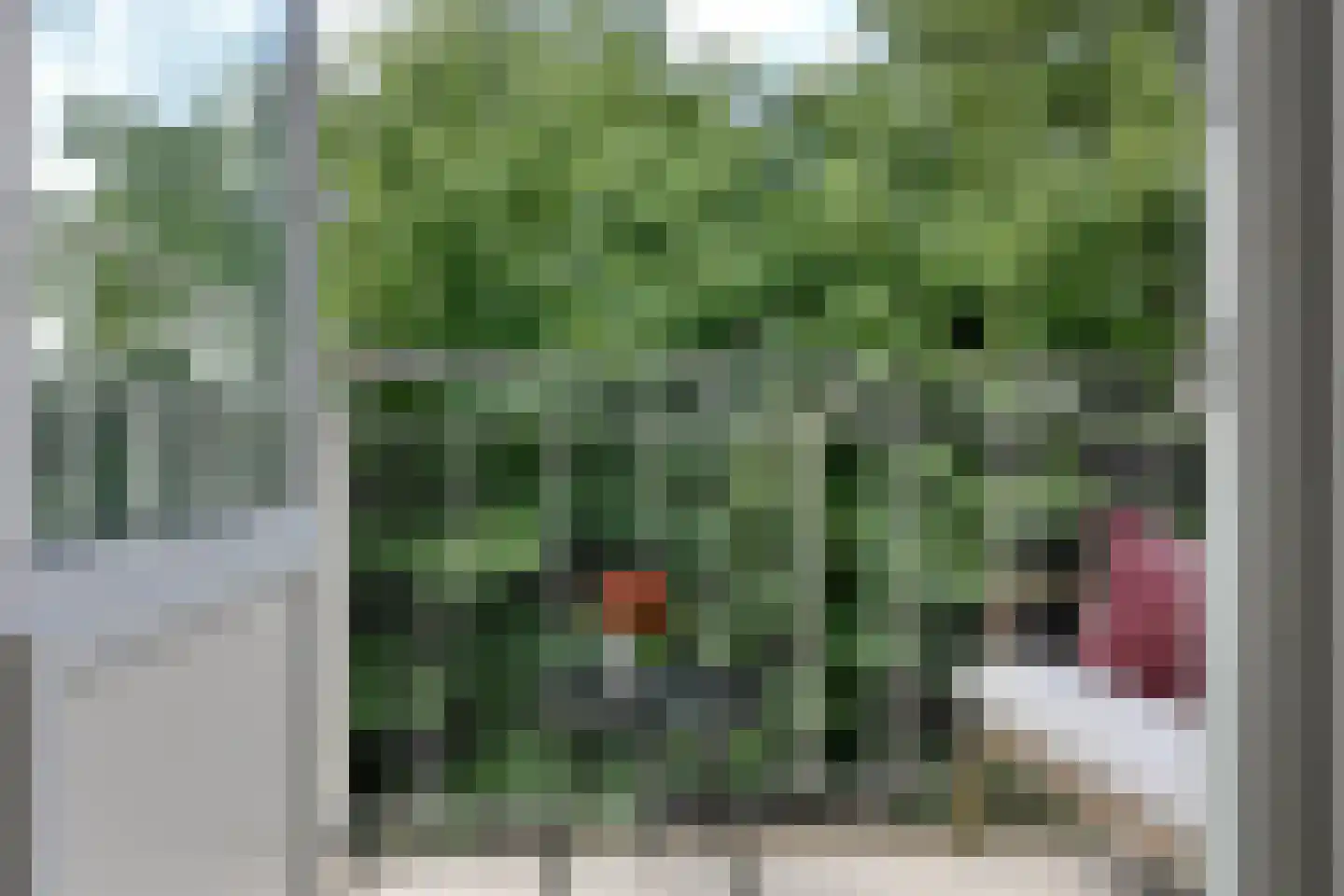 Peizerweg 70 24 Groningen thumbnail 14