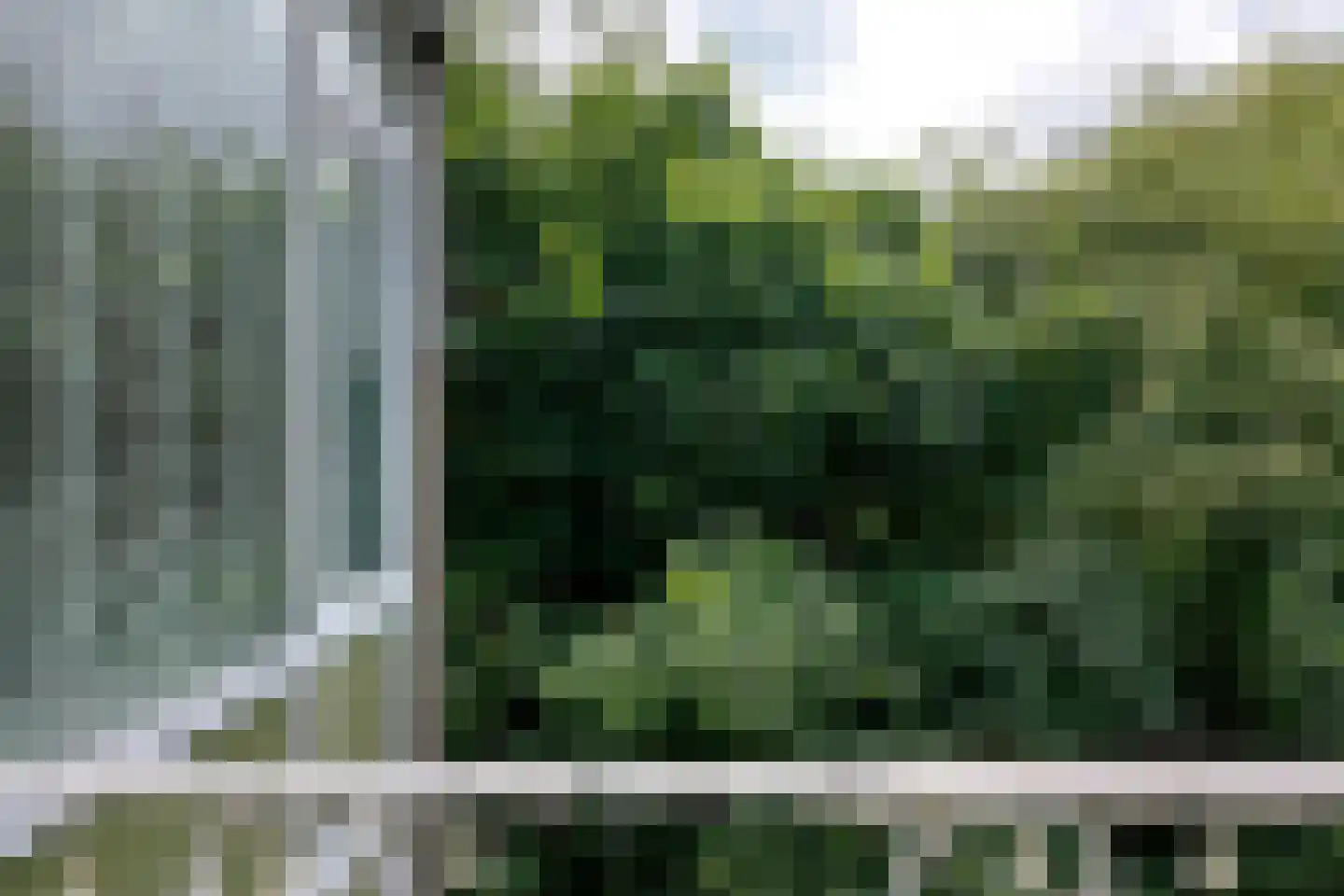 Peizerweg 70 24 Groningen thumbnail 16