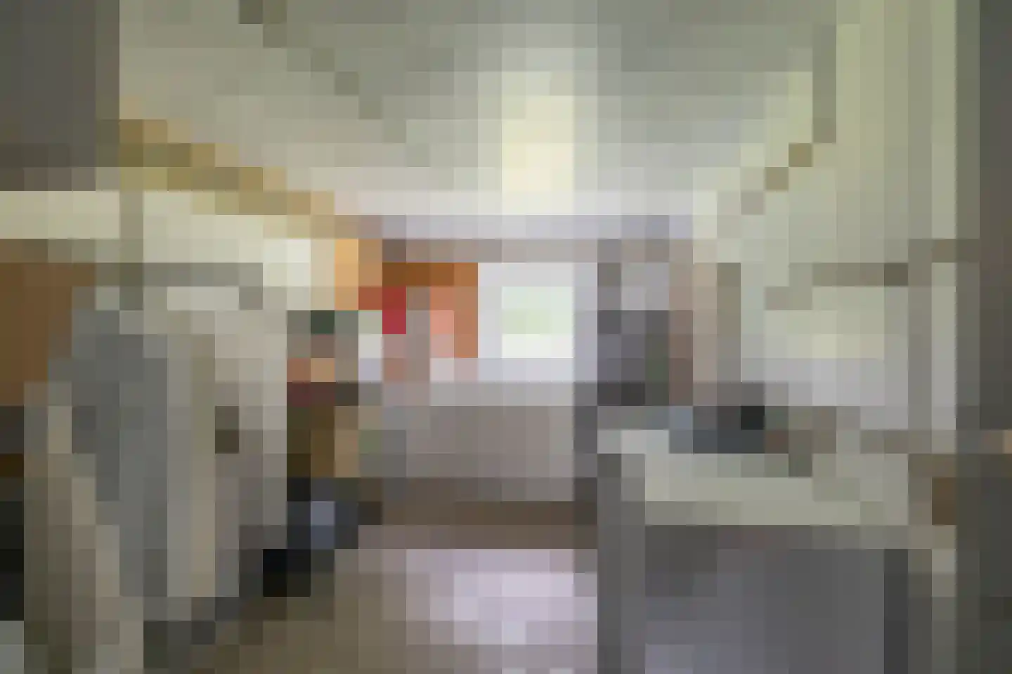 Peizerweg 70 24 Groningen thumbnail 26